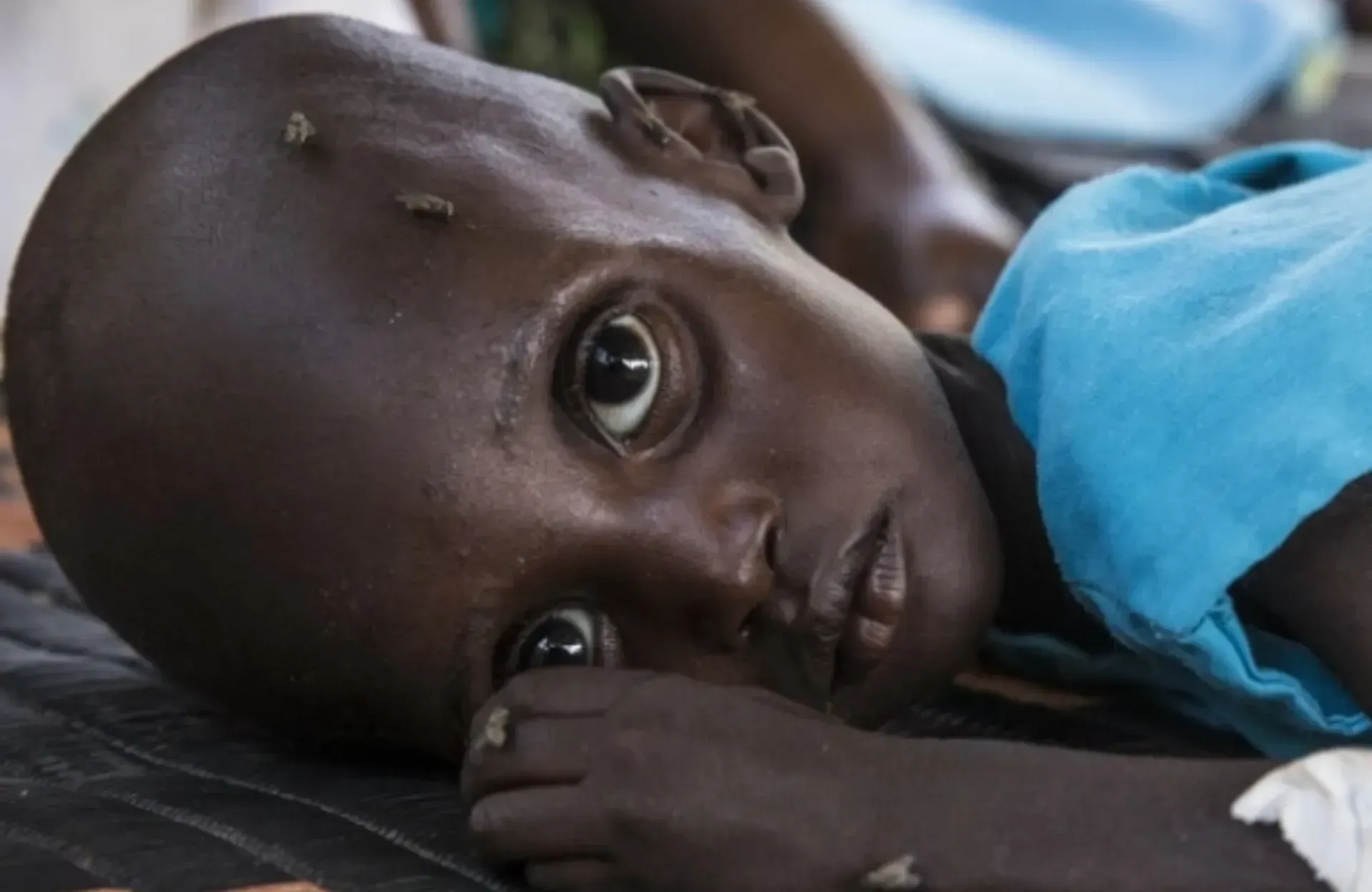 Sudan Emergency Appeal